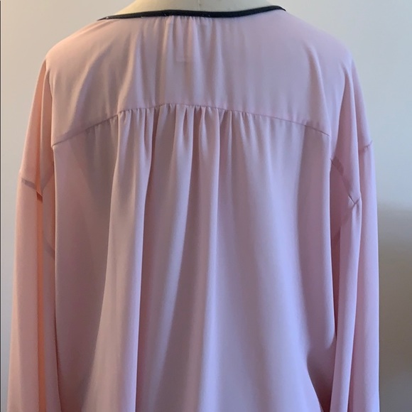 {Cache} Light Pink Sheer Blouse - Picture 6 of 12